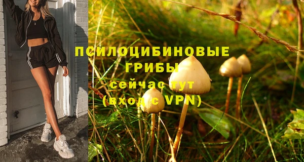 mdma Дмитриев