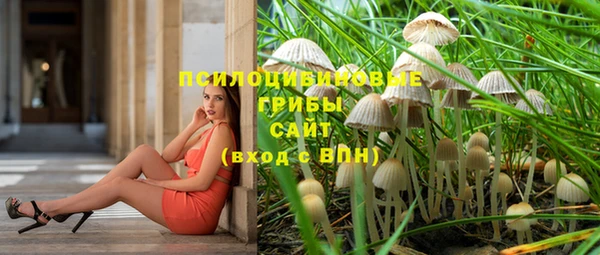 mdma Дмитриев