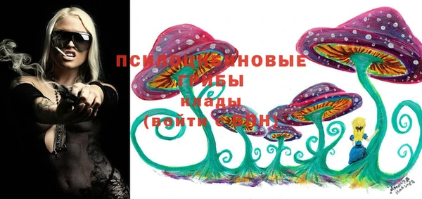 mdma Дмитриев