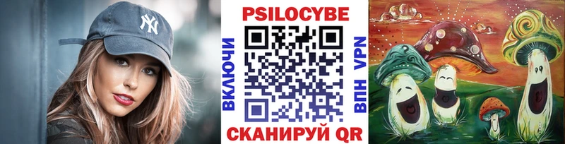 Купить где  Карабулак  Псилоцибиновые грибы MAGIC MUSHROOMS 