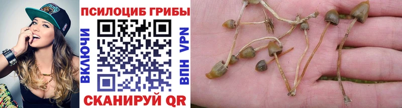 Галлюциногенные грибы Cubensis Карабулак